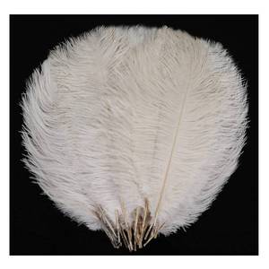 lot 54338 image: YAKRUNA 30PCS White Ostrich Feathers for Centerpieces for Wedding Birthday Gatsby Party, 12-14 Inches Bulk Decorative Plumes for Vase & Table & Christmas Tree Decor (30-35cm, White)