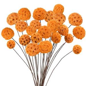 lot 54380 image: Phliofd 24 PCS Dried Craspedia Billy Balls Flowers, 18�� Natural Dried Flowers Bouquet for Vase Floral Arrangements Wedding Table Centerpieces Party DIY Home Decor (Orange)