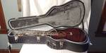Ibanez Acoustic Electric Guitar AEF37E with Custom Case