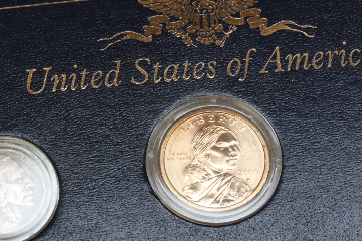 lot 4154 image: Indian Head Collection