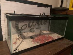 lot 274 image: 20 Gallon Aquarium 30x12x12