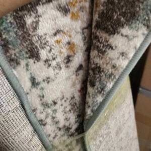 lot 51930 image: 10x14 beige rug