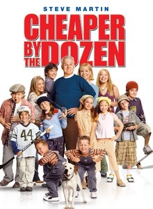 lot 9534 image: Cheaper By the Dozen Movie DVD
