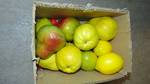 box of fake fruit