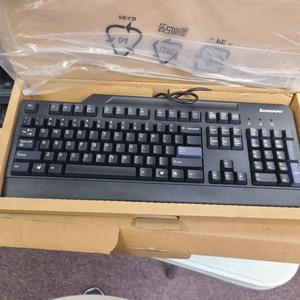 lot 3625266 image: Lenovo KB1021 Wired USB Keyboard Black PN41A5289