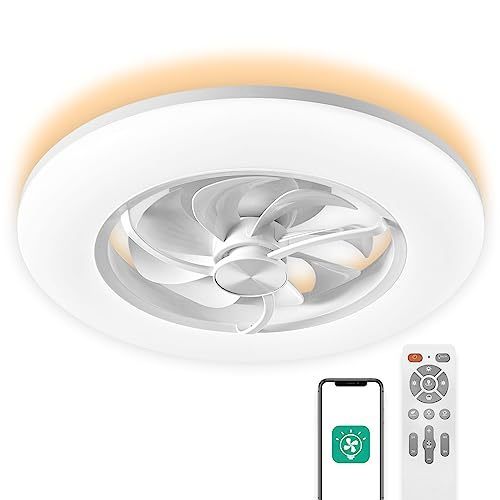 lot 27822 image: CHANFOK 22-Inch Dimmable Low Profile Ceiling Fan with Light & Remote Control Retail $190