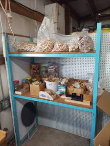 lot 4349 image: Shelf with Pegboard Back - Contents Not Included