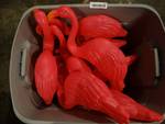 Tote full of 13 flamingo . TOTE NOT INCLUDED.