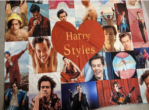 lot 2160 image: Harry Styles Throw Blanket