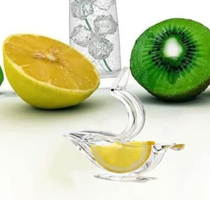 lot 2141 image: Bird Juicer