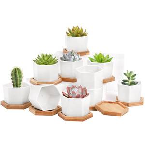 lot 18412 image: Foraineam 10 Pack Mini Succulent Plant Pots, 2.76 inch Hexagonal White Ceramic Succulent Cactus Planters with Bamboo Tray