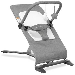 lot 63881 image: Baby Delight Alpine Deluxe Portable Bouncer  Infant  0 �� 6 months  Charcoal Tweed