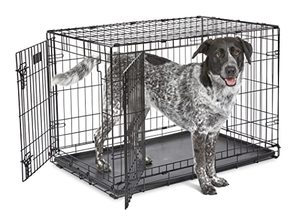 lot 63886 image: MidWest Homes for Pets Newly Enhanced Double Door iCrate Dog Crate, Includes Leak-Proof Pan, Floor Protecting Feet, Divider Panel & New Patented Features