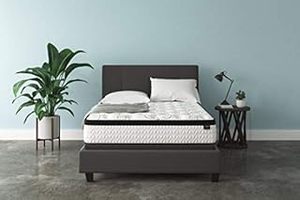 lot 63777 image: Signature Design by Ashley 12 Chime Plush Hybrid Mattress Queen