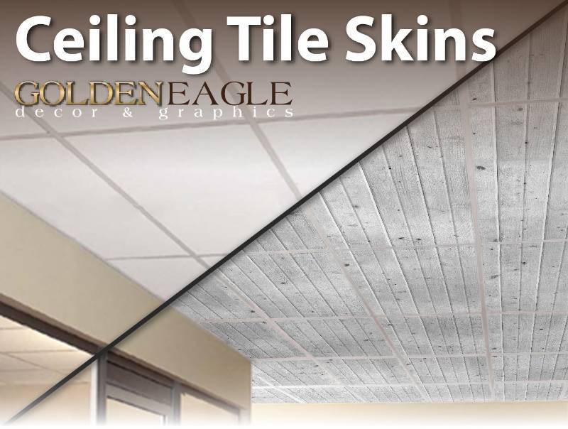 lot 1037 image: Golden Eagle Ceiling tile skin, white washed knotty pine