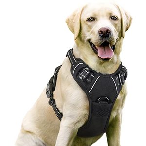 lot 6102 image: rabbitgoo Dog Harness, No-Pull Pet Harness with 2 Leash Clips, Adjustable Soft Padded Dog Vest, Reflective No-Choke Pet Oxford Vest with Easy Control Handle for Large Dogs, Black, L