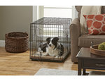 Alcove Foldable Dog Crate
