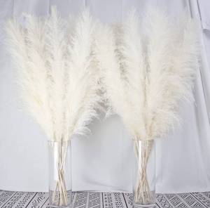 lot 2404 image: 10 Stems 40-inch White Pampas Grass Decor Tall, Large Pampas Grass, Boho Neutral Home Decor Bouquet. Fluffy Pampas Grass for Floor Vases, Wedding Floral Arrangements, Wall Decor, Farmhouse Table Decor