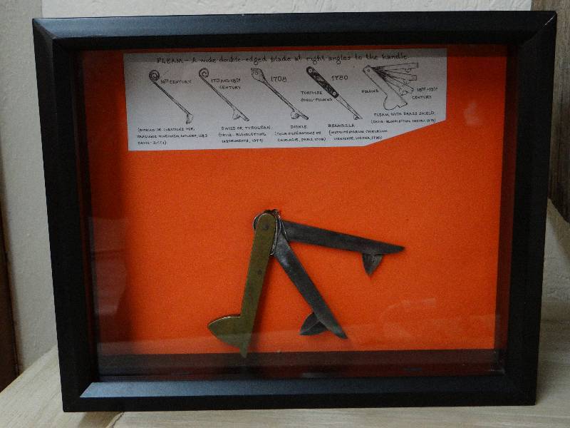 lot 768 image: Antique Fleam Bloodletting Medical Tool in Shadow Box