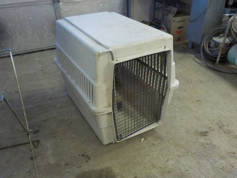 lot 3598 image: Dog Kennel