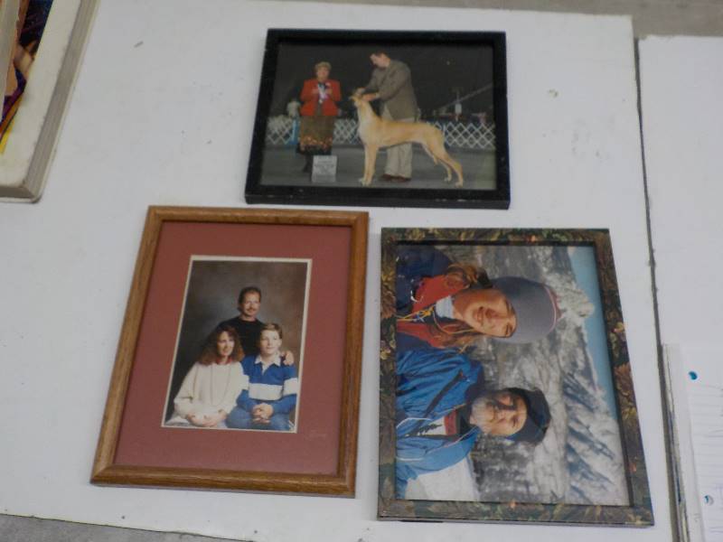 lot 3732 image: lot of 3 8x10 picture frames