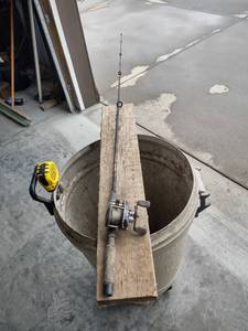 lot 1125 image: daiwa baitcast reel and Pole