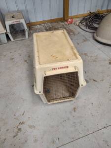 lot 1133 image: large pet Porter plastic