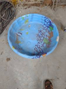 lot 1137 image: kiddie pool