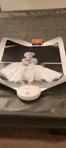 lot 2146 image: 20  20 Marilyn Monroe picture.