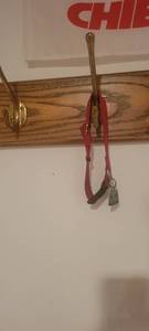lot 2235 image: Dog collar