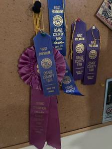 lot 3047 image: Ribbons from the Osage County fair
