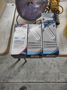 lot 1182 image: three fluorescent light bulbs