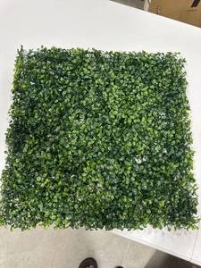 lot 27912 image: Grass Wall 24 Pack