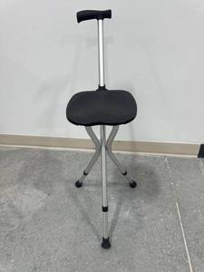 lot 27922 image: Folding Cane Seat