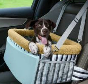 lot 24033 image: AGFYLIFE Dog Car Seat for Small Dogs Up to 18 lbs,with 2cm Extra-Thick Safety Protective Foam in The Front, with Warm Cushion (Two-Sided for All Seasons), Upgraded pet Support seat with Metal Frame