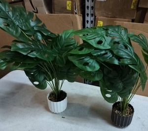lot 5699 image: Artificial Plants 2 Pack