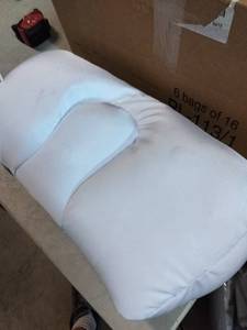 lot 9843 image: White Bean Pillow 21in X 10in