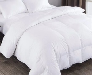 lot 5652 image: Comforter Queen Size