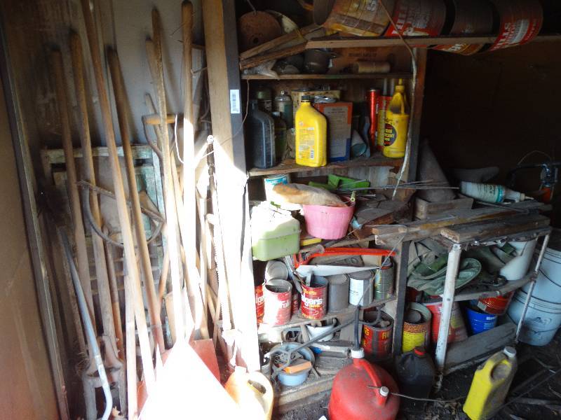 lot 150 image: All contents of metal shed- tools lawn & garden misc.