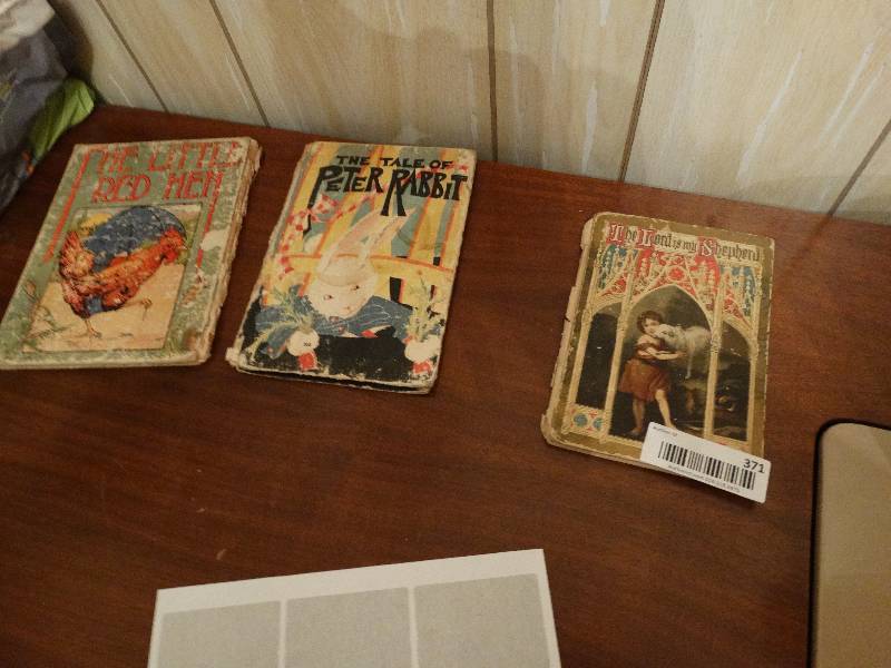 lot 371 image: 3 antique books