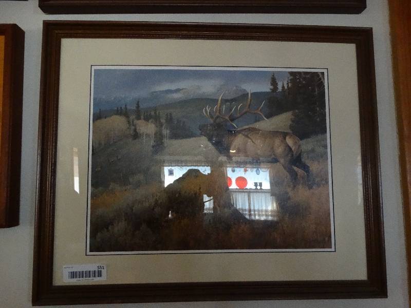 lot 551 image: Framed wildlife print