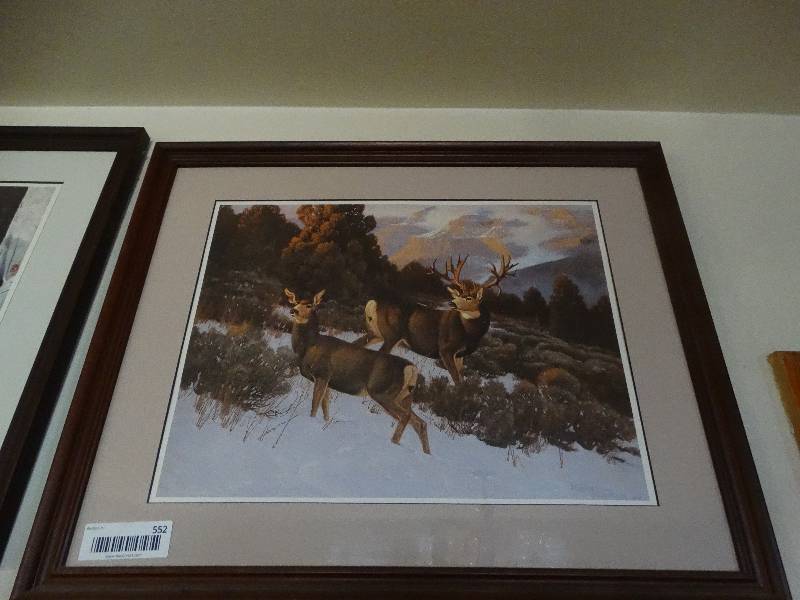 lot 552 image: Framed wildlife print