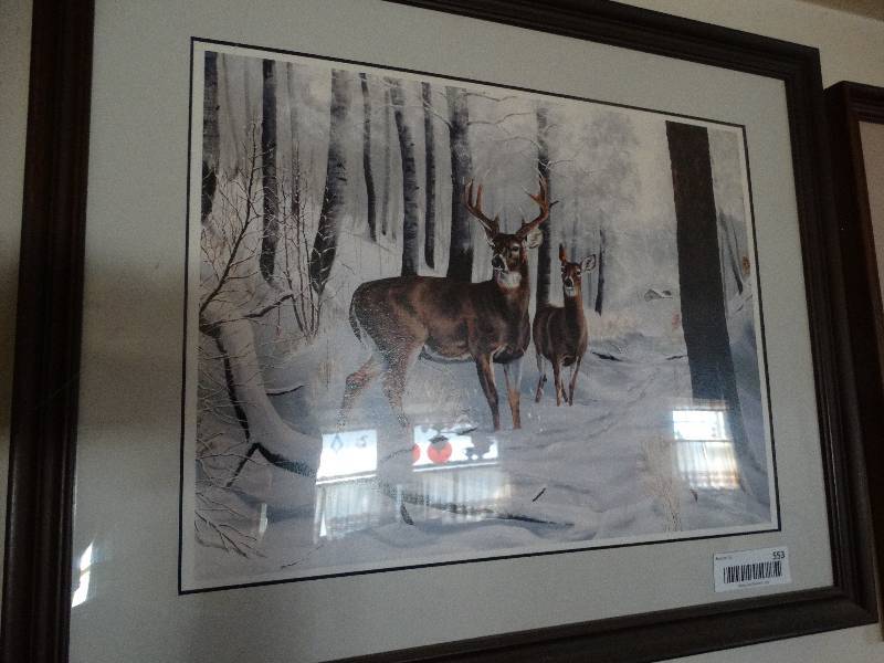 lot 553 image: Framed wildlife print