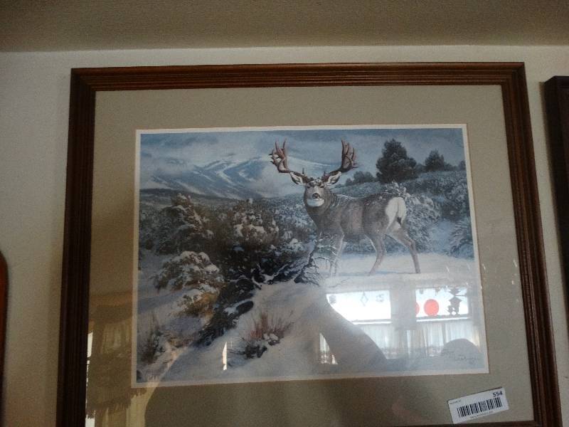 lot 554 image: Framed wildlife print