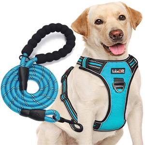 lot 6116 image: tobeDRI No Pull Dog Harness Adjustable Reflective Oxford Easy Control Medium Large Dog Harness with A Free Heavy Duty 5ft Dog Leash (S (Neck 13-18, Chest 17.5-22), Blue HarnessLeash)