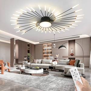 lot 7172 image: AHXIAOZN Modern Ceiling Lamps with Remote,Flush Mount Ceiling Lamp Acrylic Lampshade Chandelier,Fireworks Ceiling Light,3 Color3000-6500K (Black, 421 Lights) - Retail $270.92