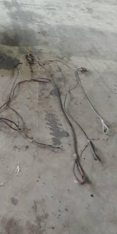 lot 6731 image: Lot of 5 Wire Rope Slings