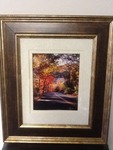 Absolutely beautiful framed and double matted outdoor professional photo great Decour pieces