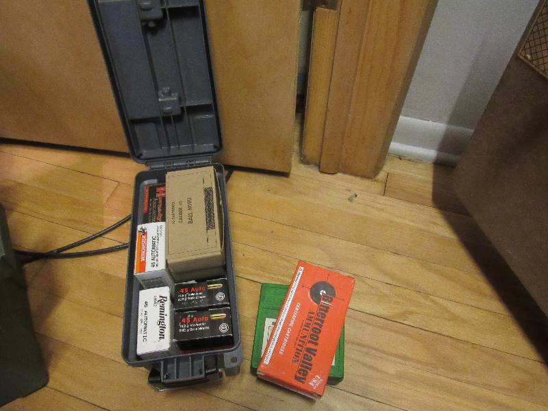 lot 6496 image: Lot of 45 Automatic Rounds with Plastic Ammo Box