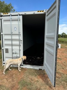 lot 20403 image: 40 Foot High Cube C Container with 4 side double doors and 2 rear doors - First Trip and In Great Condition